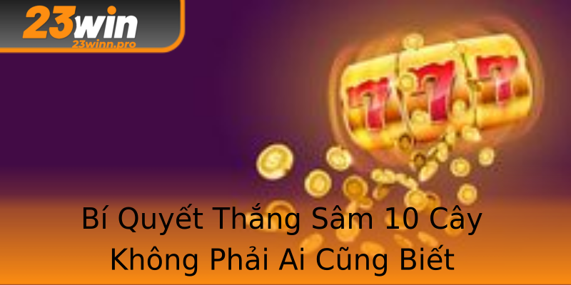 Bí Quyết Thắng Sâm 10 Cây Không Phải Ai Cũng Biết