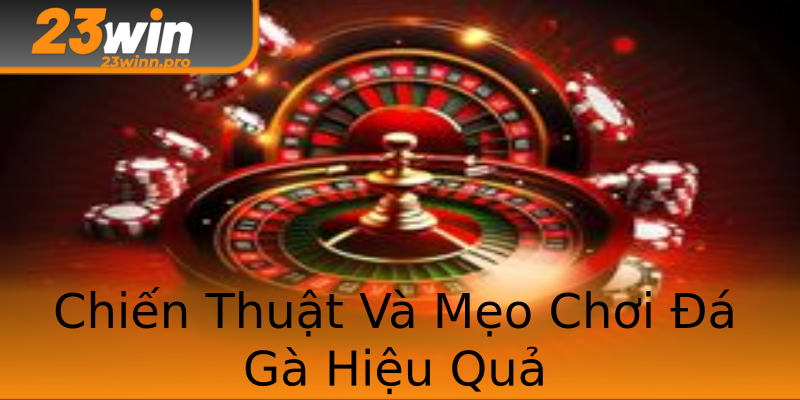 Chiến Thuật Và Mẹo Chơi Đá Gà Hiệu Quả