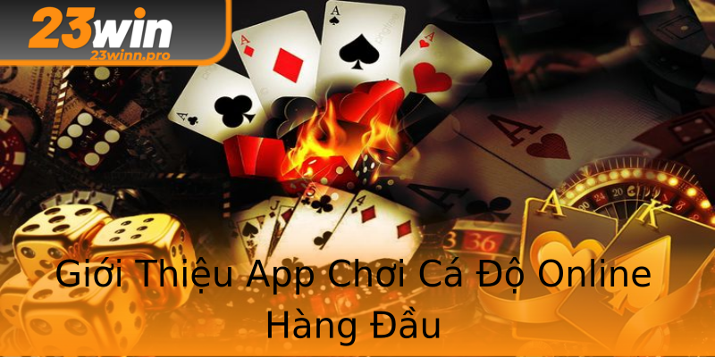Giới Thiệu App Chơi Cá Độ Online Hàng Đầu