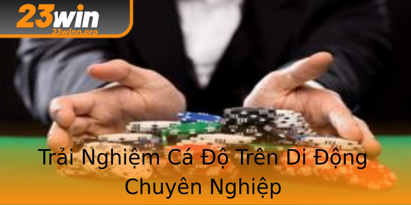 Trải Nghiệm Cá Độ Trên Di Động Chuyên Nghiệp